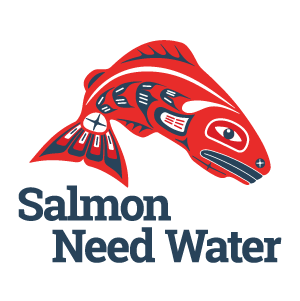 Salmon Need Water Logo Design